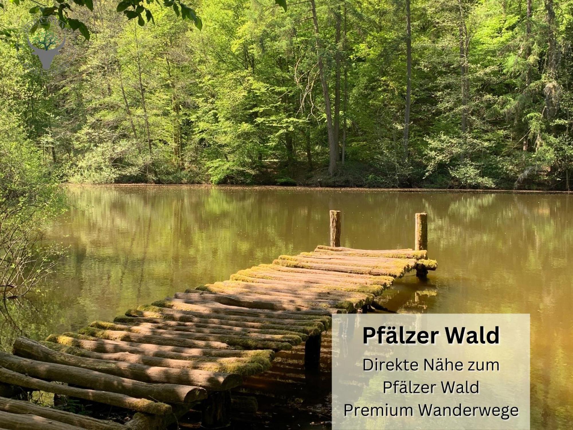 Schuhpartment Am Pfaelzer Wald Naehe Outlet Center Zweibruecken Apartment Pirmasens Exterior photo